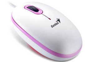 Une souris toute ronde et pour toutes !