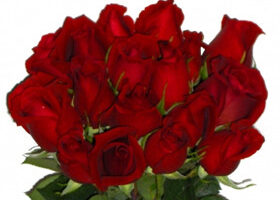 Osons les plans les plus tartes pour la saint-Valentin