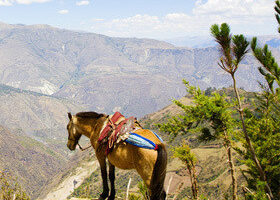 Vos belles photos méritent un support de qualité