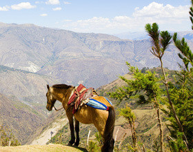 Vos belles photos méritent un support de qualité