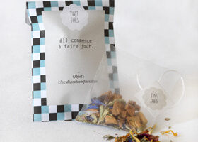 Geekette jusqu&rsquo;au bout du sachet de thé… avec Twit-Thés !