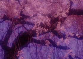 Un cri d&rsquo;amour au centre du monde