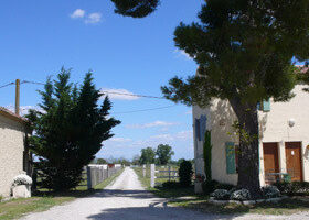 Échappée sauvage en Camargue