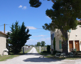 Échappée sauvage en Camargue