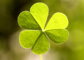 On adore l&rsquo;Irlande !