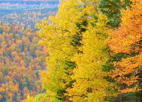 Où vais-je partir cet automne ? J&rsquo;hésite…