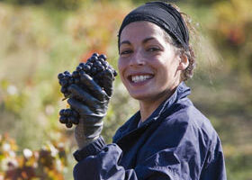 Les vendanges à ma façon !
