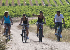 Vendanges en Champagne…