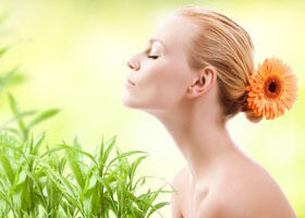 Viv&rsquo;Expo, un salon 100% écolo !