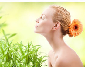 Viv&rsquo;Expo, un salon 100% écolo !