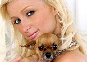 Mon ami à quatre pattes en vacances