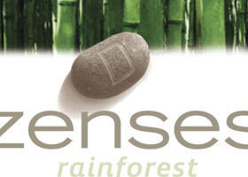 Jeux vidéo – J&rsquo;ai testé le jeu Zenses…