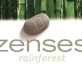 Jeux vidéo – J&rsquo;ai testé le jeu Zenses…