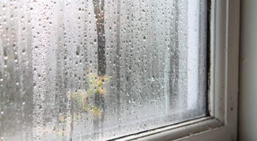 Ce geste simple pour éviter la condensation sur vos vitres cet hiver et assainir votre intérieur