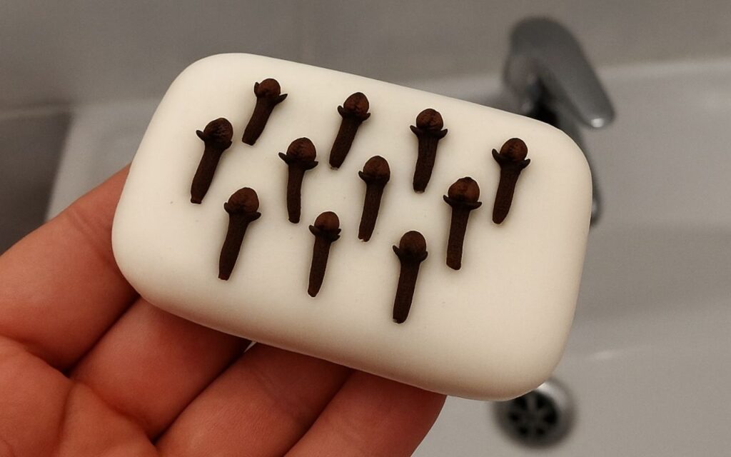 clous de girofle savon