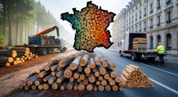 Prix du bois de chauffage 2025 : voici la tendance dans votre département, entre 89 et 115 euros le stère selon la région