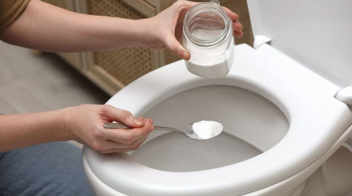 sel toilettes astuce