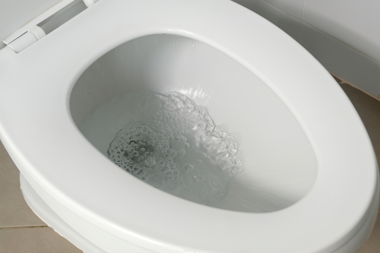 Toilettes : ce geste simple avec une bouteille vous fait gagner jusqu’à 30 % d’eau par chasse
