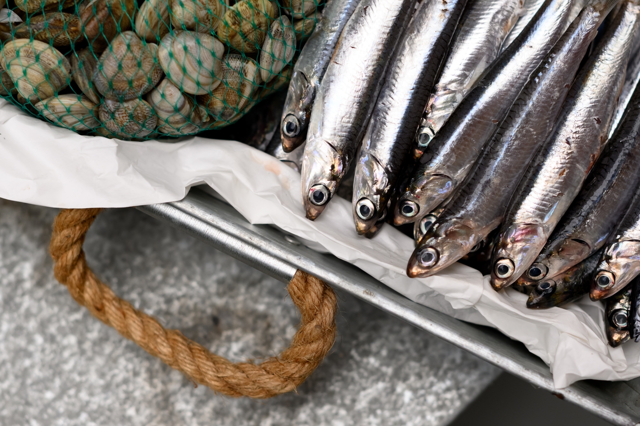 Ni maquereau ni sardine : ce poisson en conserve est le n°1 pour la santé, selon ce gastroentérologue