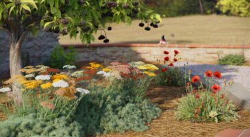 Voici 3 plantes résistantes à la sécheresse qui transforment un jardin desséché en octobre: couleur, ombre et baies en France