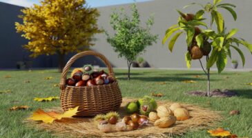 Voici les fruits à coque qui changent tout au jardin : 3 arbres faciles, des récoltes dès 3 ans et une plantation en octobre-novembre