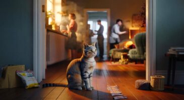 Ce rituel chez les chats à l&rsquo;automne 2025 intrigue les vétérinaires : pourquoi il observe sans bouger depuis le couloir