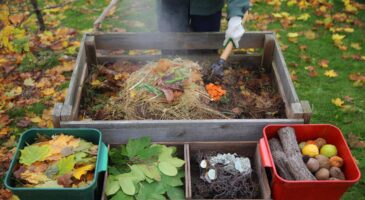 Compost d&rsquo;automne 2025 : voici les feuilles à absolument écarter, et celles qui peuvent aller au tas sans ruiner l&rsquo;équilibre du jardin