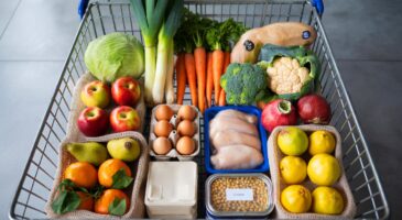 Voici la méthode 6-1 qui affole les caddies en novembre 2025, ce cadre simple fait fondre le budget courses des foyers