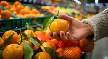 Voici l’astuce imparable des mandarines au supermarché en novembre 2025 pour repérer les plus juteuses sans se faire avoir