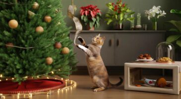 Voici le détail déco de novembre 2025 qui met votre chat en danger à la maison, et comment l’éviter sans gâcher Noël