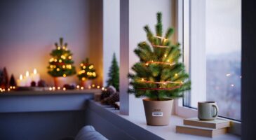 Voici le mini sapin ikea à 0,99 € qui fait parler en novembre 2025, et ce détail pourrait changer votre déco de noël