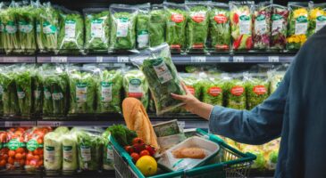 Voici pourquoi les salades en sachet s&rsquo;imposent en 2025 en France, avec un chiffre clé qui change la donne au rayon légumes