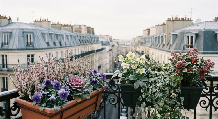 Balcon : ces plantes et gestes simples gardent vos jardinières d’hiver superbes quand celles des voisins gèlent