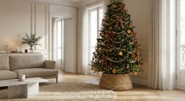 Cette guirlande brillante ruine votre sapin de noël (mais tout le monde continue de l&rsquo;utiliser)