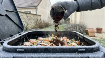 Compost gelé tout l&rsquo;hiver : ce déchet du petit-déjeuner que vous jetez peut tout changer en quelques jours