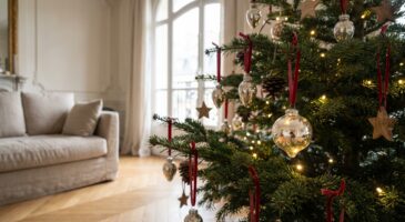 Sapin de noël chic : ces gouttes en verre alinea à -50 % changent tout, mais pas comme vous l&rsquo;imaginez
