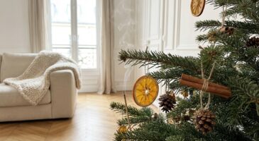 Sapin de Noël sans odeur : cet ingrédient à suspendre sur les branches va embaumer toute la maison en quelques minutes