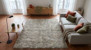 Tapis 2026 : ce grand tapis qui transforme le salon s’arrache, peu savent comment l’avoir à tout petit prix