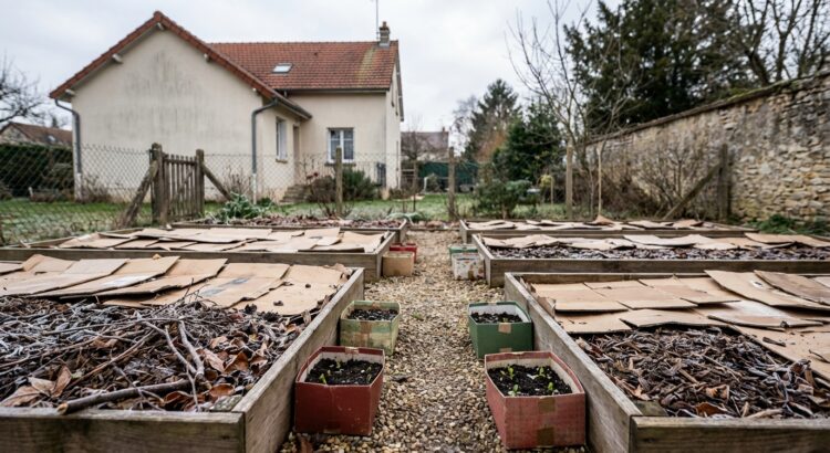 Vous les jetez après Noël, mais ces cartons valent de l&rsquo;or au jardin et vous évitent une grosse dépense