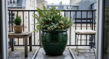 Action : ce cache-pot XXL à moins de 10 € ressemble à une poterie de luxe et cache un atout inattendu à shopper vite