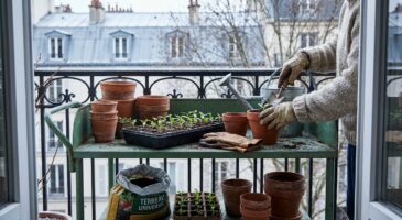 Ce meuble de jardinage à moins de 60 € chez BUT va vous sauver le dos pour les semis de printemps qui arrivent