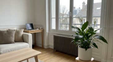 En janvier, cette plante d&rsquo;intérieur fait fureur et change tout dans le salon grâce à un détail inattendu