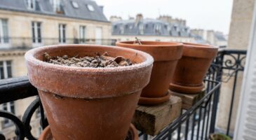 Gel et pots en terre cuite : ce geste à faire d’urgence sur votre balcon pour éviter une casse très coûteuse