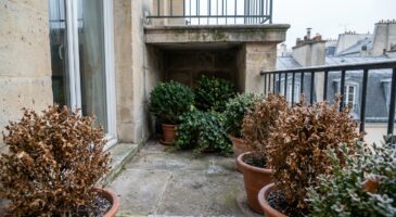 Plantes en pot : ce phénomène hivernal les tue plus que le gel, et ce geste tout bête peut les sauver