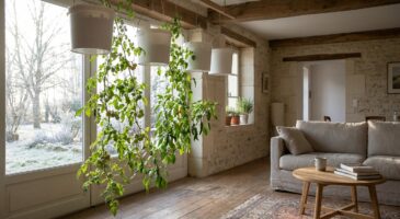 Potager d’intérieur : cette culture inversée méconnue peut vous faire récolter des légumes en plein mois de janvier