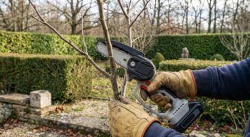 Puissante et légère, cette mini scie d’élagage sans fil en promo chez Gamm Vert disparaît des rayons plus vite que prévu
