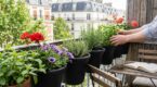 À 2,99 € chez GiFi, cet accessoire de balcon peut transformer les plus petits espaces en coin de verdure, à saisir vite