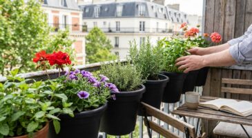À 2,99 € chez GiFi, cet accessoire de balcon peut transformer les plus petits espaces en coin de verdure, à saisir vite