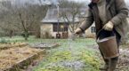 Avant le printemps, ne jetez plus cette poudre grise du poêle à bois : sur le potager, son pouvoir va vous surprendre