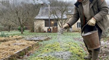 Avant le printemps, ne jetez plus cette poudre grise du poêle à bois : sur le potager, son pouvoir va vous surprendre